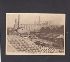 GUINNESS Advert Postcard  -