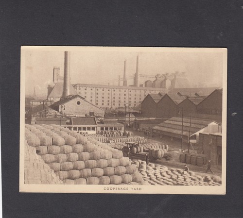 Guinness advert postcard - postcard,
