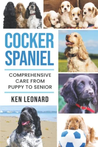 Cocker spaniel comprehensive - cocker, spaniel: