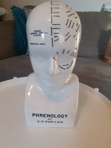 Phrenology head fowler - phrenology, l.n.
