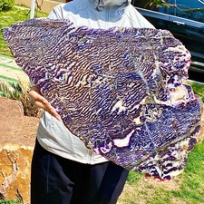 8.68LB  Zebra Marble End Plate Cabbing Lapidary Carved Spiritual Chakra Utah