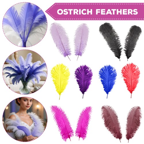 Ostrich feathers christmas - ostrich,