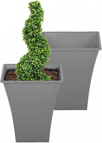 Grey large plant - x,