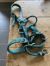Monty Roberts Dually Headcollar, X  Small  Green VGC