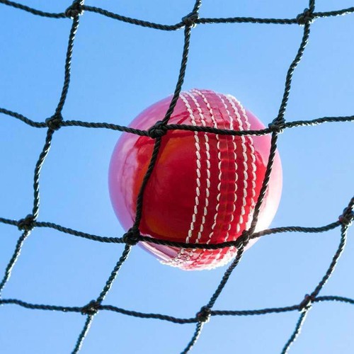 Heavy duty cricket netting - duty,