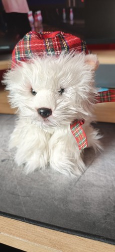 West highland terrier - terrier, plush