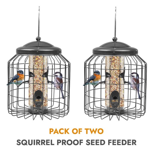 Squirrel proof hanging - squirrel,