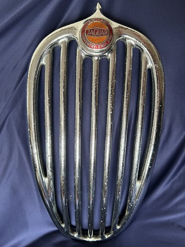 Jaguar xk140 original - original, grille