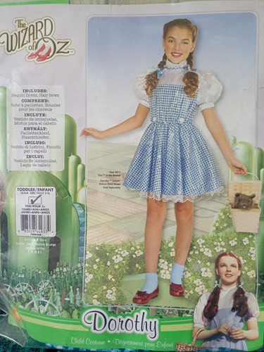 Dorothy wizard costume - wizard,