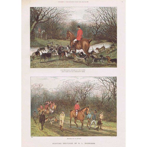 Harrison victorian fox - victorian,