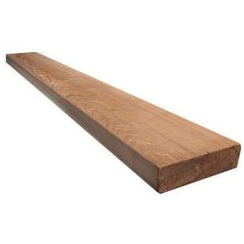 Ventral lumber x 6 - 2, in.