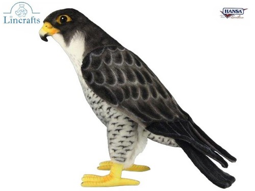 Falcon plush soft toy bird - bird,