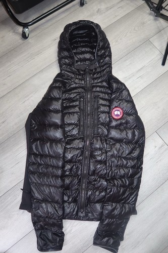 Canada goose hybridge - canada, lite
