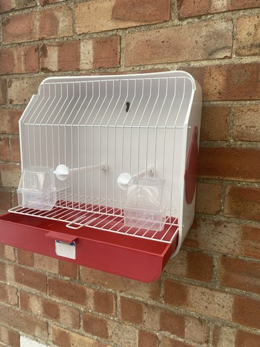 Canary mule show - canary/mule,