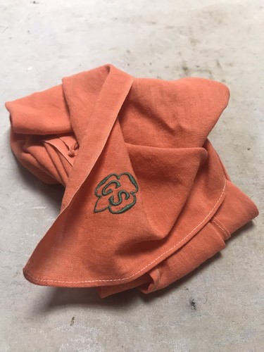 Vintage orange girl scout - girl,