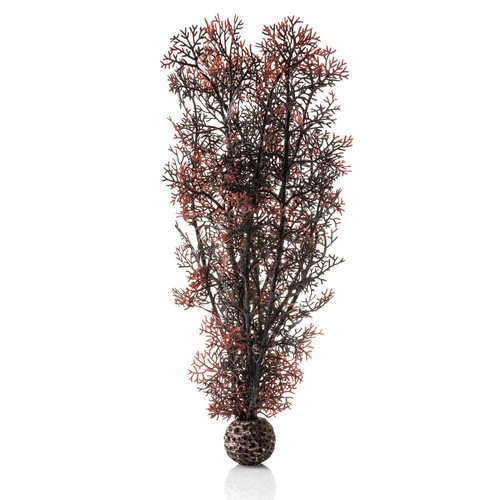 Biorb crimson sea fan large - crimson,