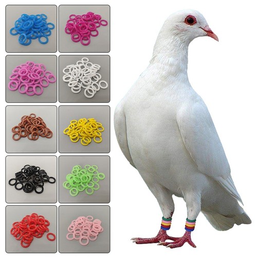 100pcs reusable foot rings - 100pcs,
