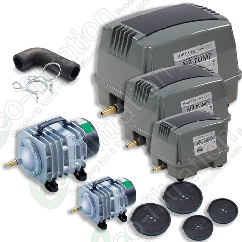 Hailea air pump - air,