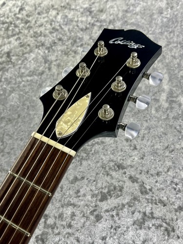 Collings 290 doghair - collings, 2007