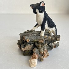 Kitten in Logs Watching Mouse