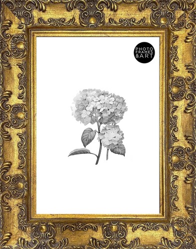 Picture frame ornate - frame,