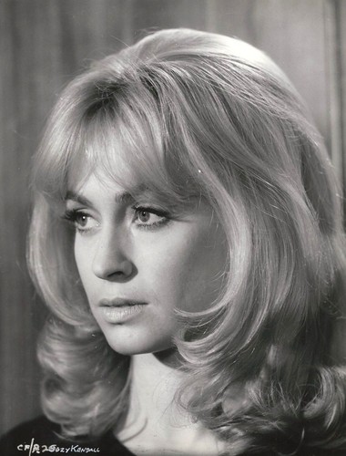 Suzy kendall 5 inch - 11", x