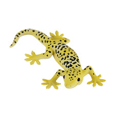 Leopard Gecko Wild zoo animal
