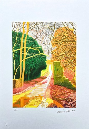 David hockney the - david,