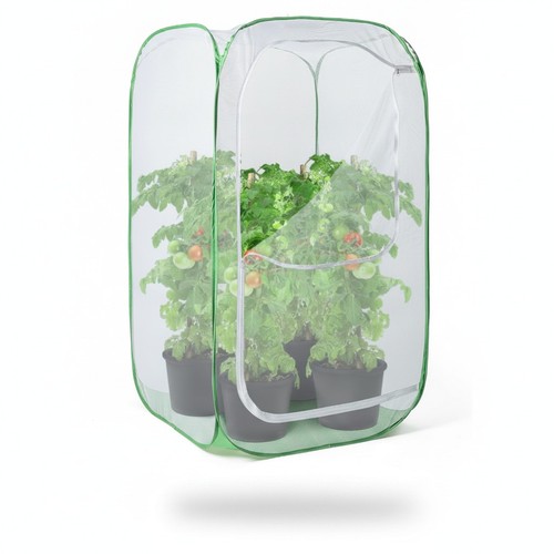 Outdoor plant enclosure - plant,