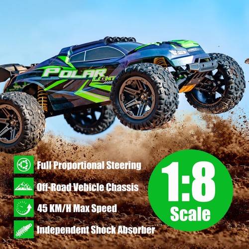 High speed off road fast - 1:8,