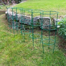 5 x Metal Conical Garden Plant Support Rings (48cm) Herbaceous Stake Tomato