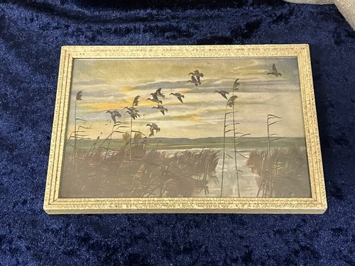 Peter scott print medici - print,