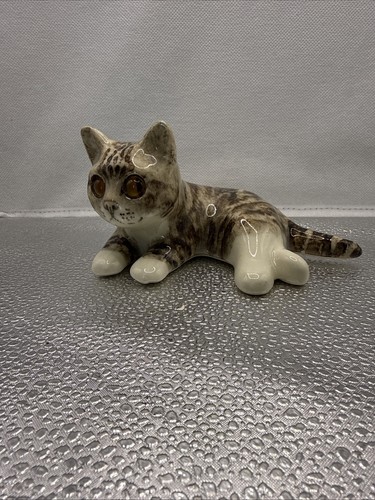 Winstanley tabby cat - tabby,