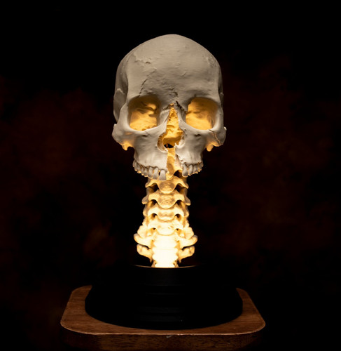 Life size human - life,