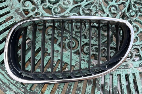 Bmw e60 bonnet kidney - bmw, grill