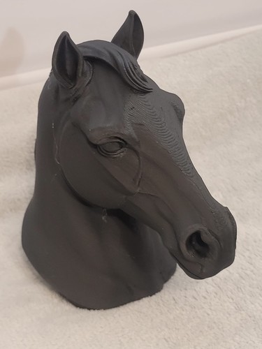 Horse head bust equestrian - head,