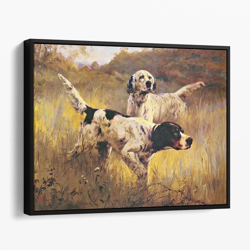 English setters the field - in,