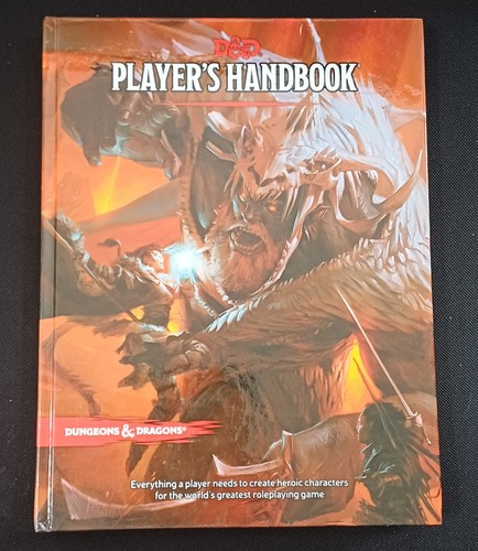Dungeons dragons player - &,