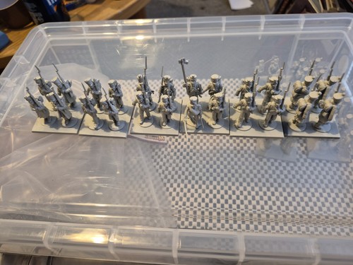 Napoleonic French Infantry