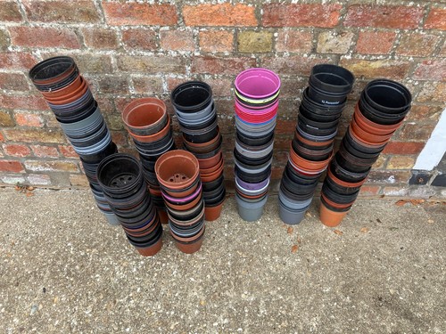 Plastic plant pots used 1 - plant, pots,