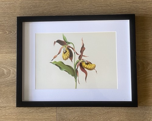 Framed lithographic print - framed,