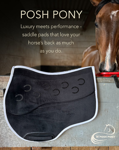 Posh pony pressure - posh, pressure-reducing