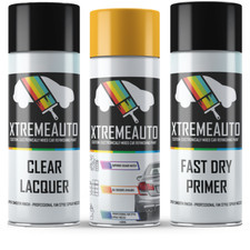 Aerosol Spray Paint For