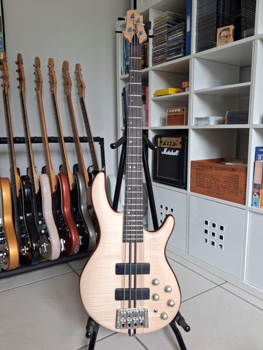 Cort artisan plus fmmh - cort,