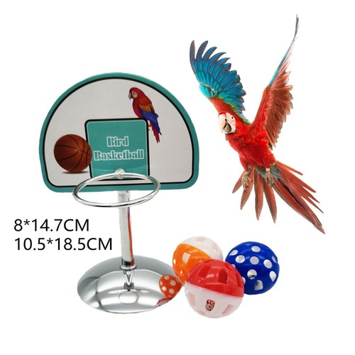 Bird training toys basketball - toys,