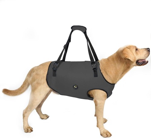 Coodeo dog lift - lift, pet