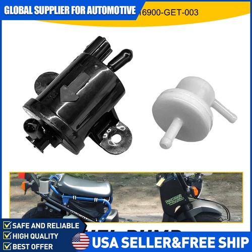 Fuel pump and filter - filter, assembly