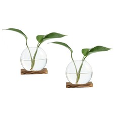 2 Pack Plant Propagation