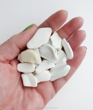 20pcs White Sea Pottery 20-33mm From English North East Coast