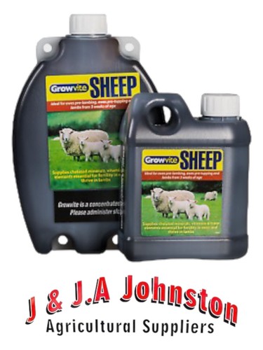Growvite sheep lamb drench - growvite, sheep/lamb
